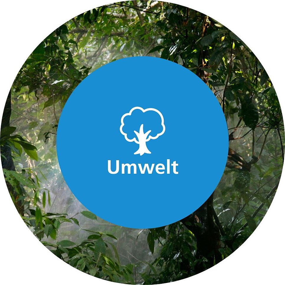 Umwelt-RKW-Gruppe