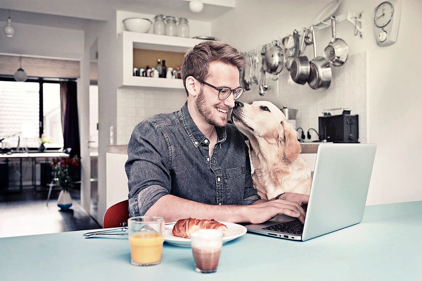 RKW-Website-Solutions-Food-and-Pet-food