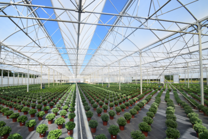 RKW-Products-Industry-Greenhouse-film