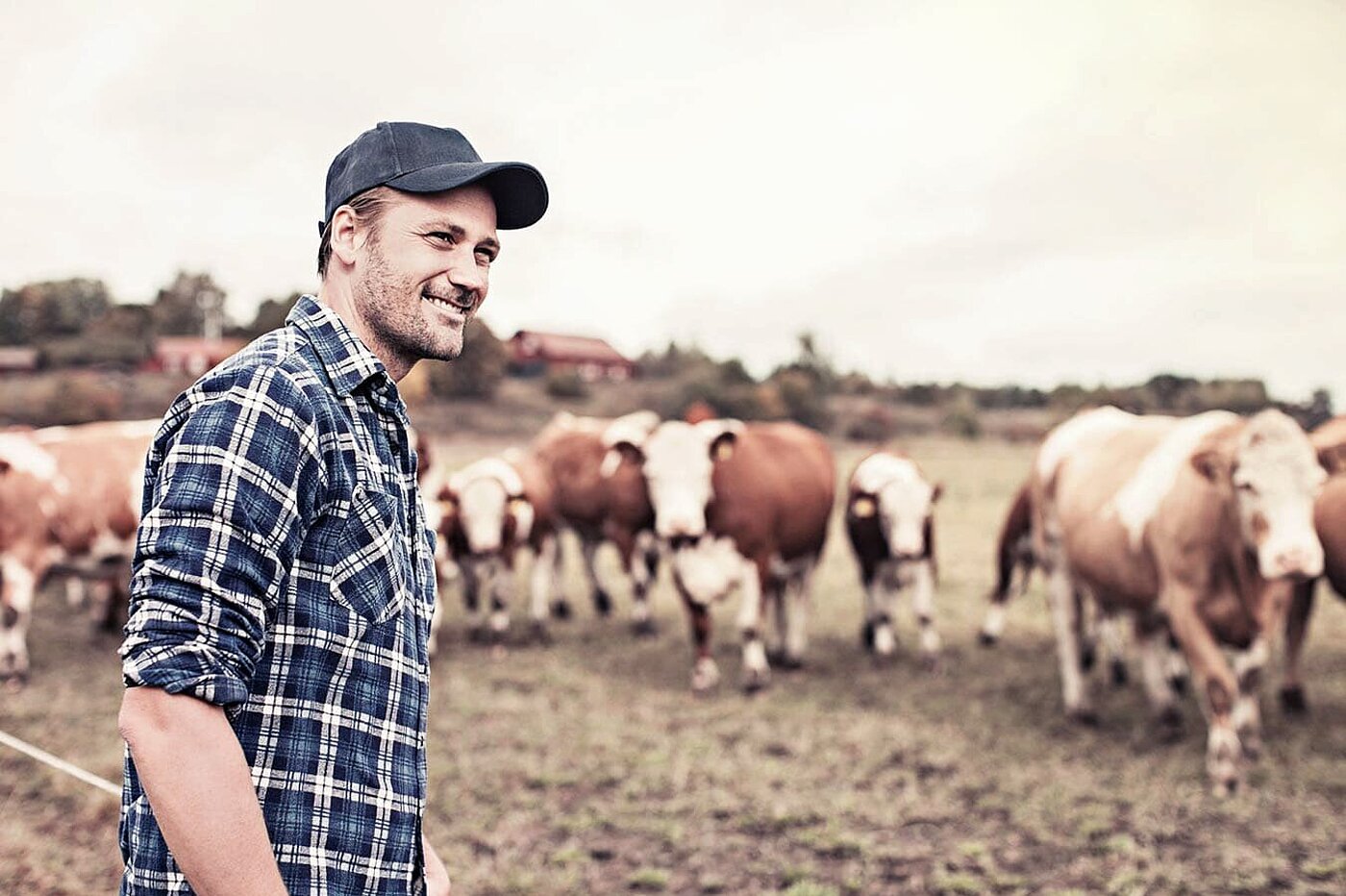 RKW-Website-Solutions-Agricultural