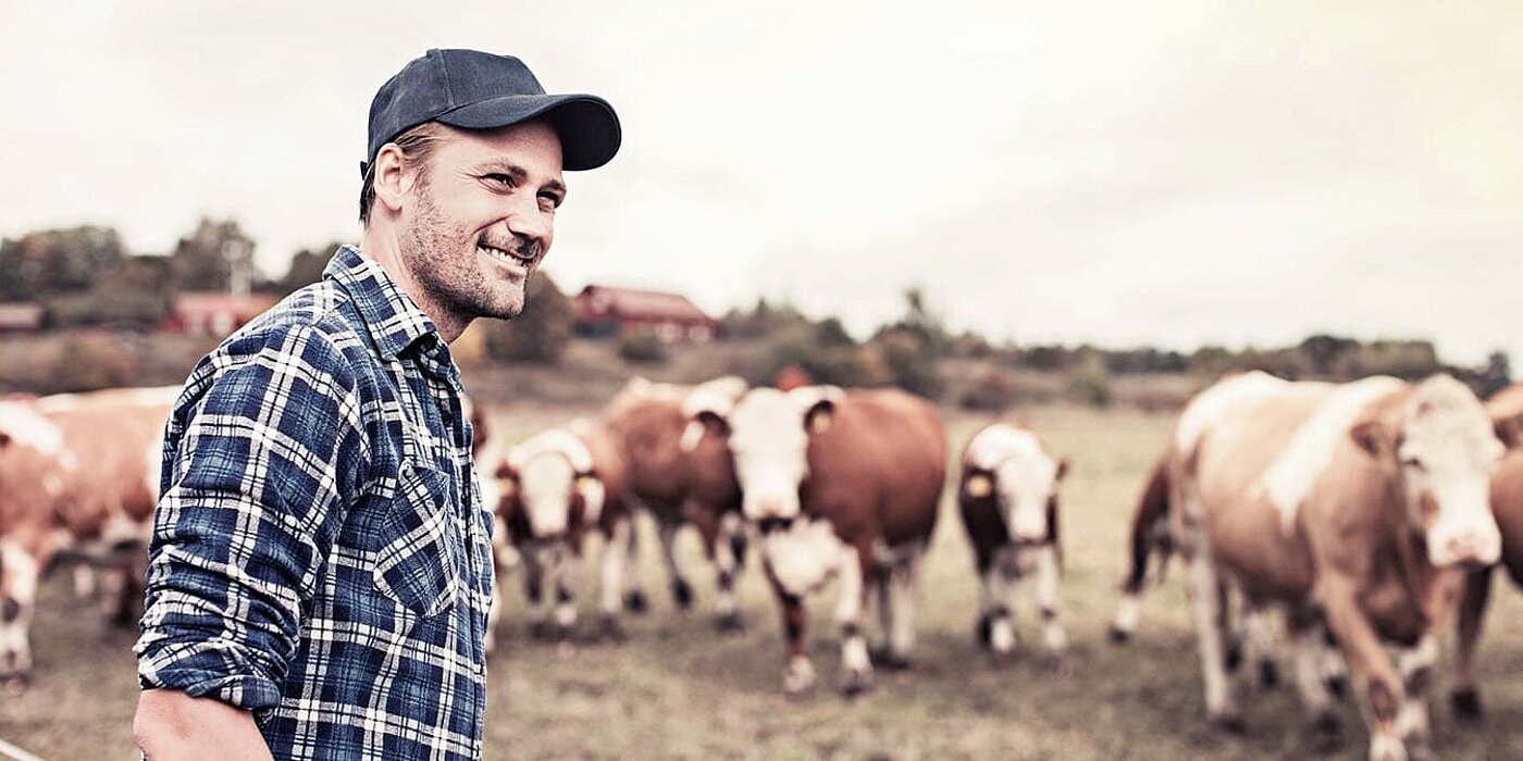 RKW-Website-Solutions-Agricultural