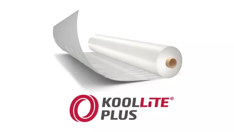  Koolllite Plus 