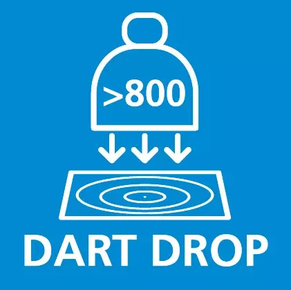  Dart.jpg