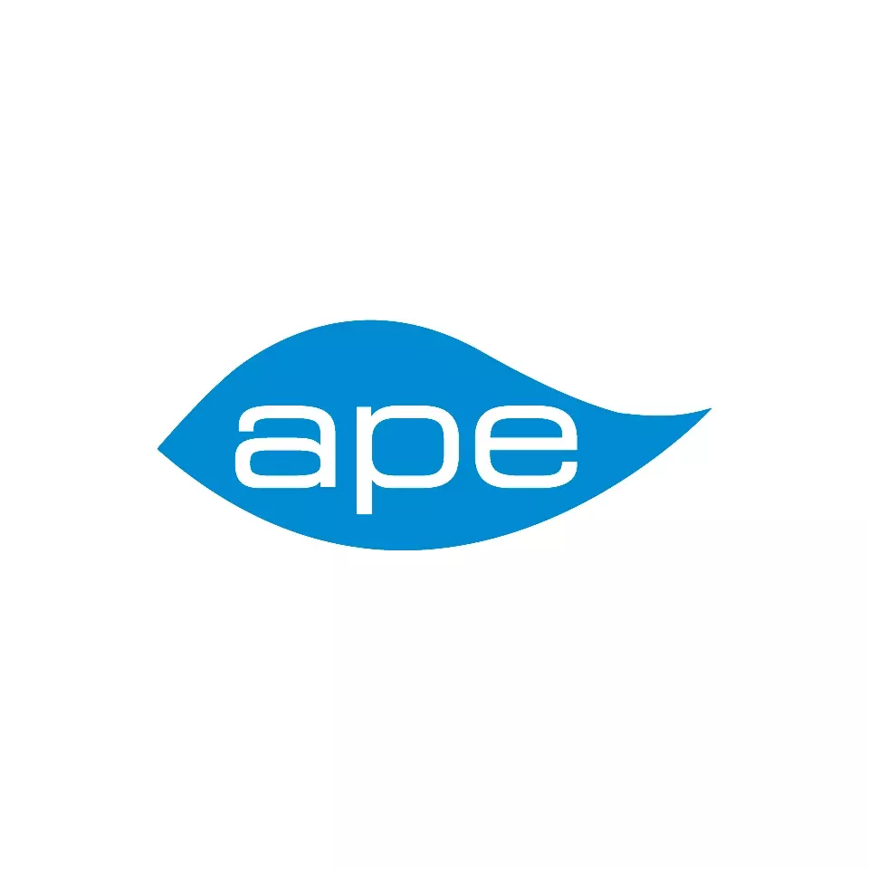  Logo APE 