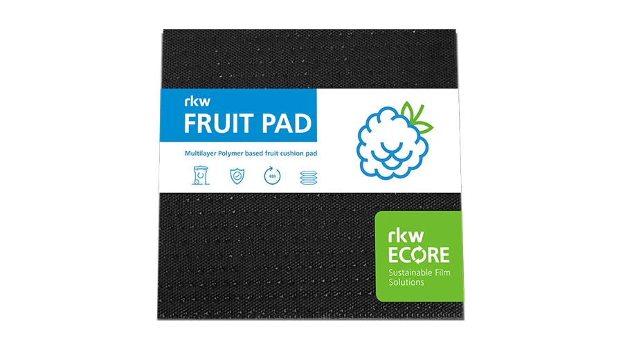 berries on a rkw fruit pack that is in a clamp shell